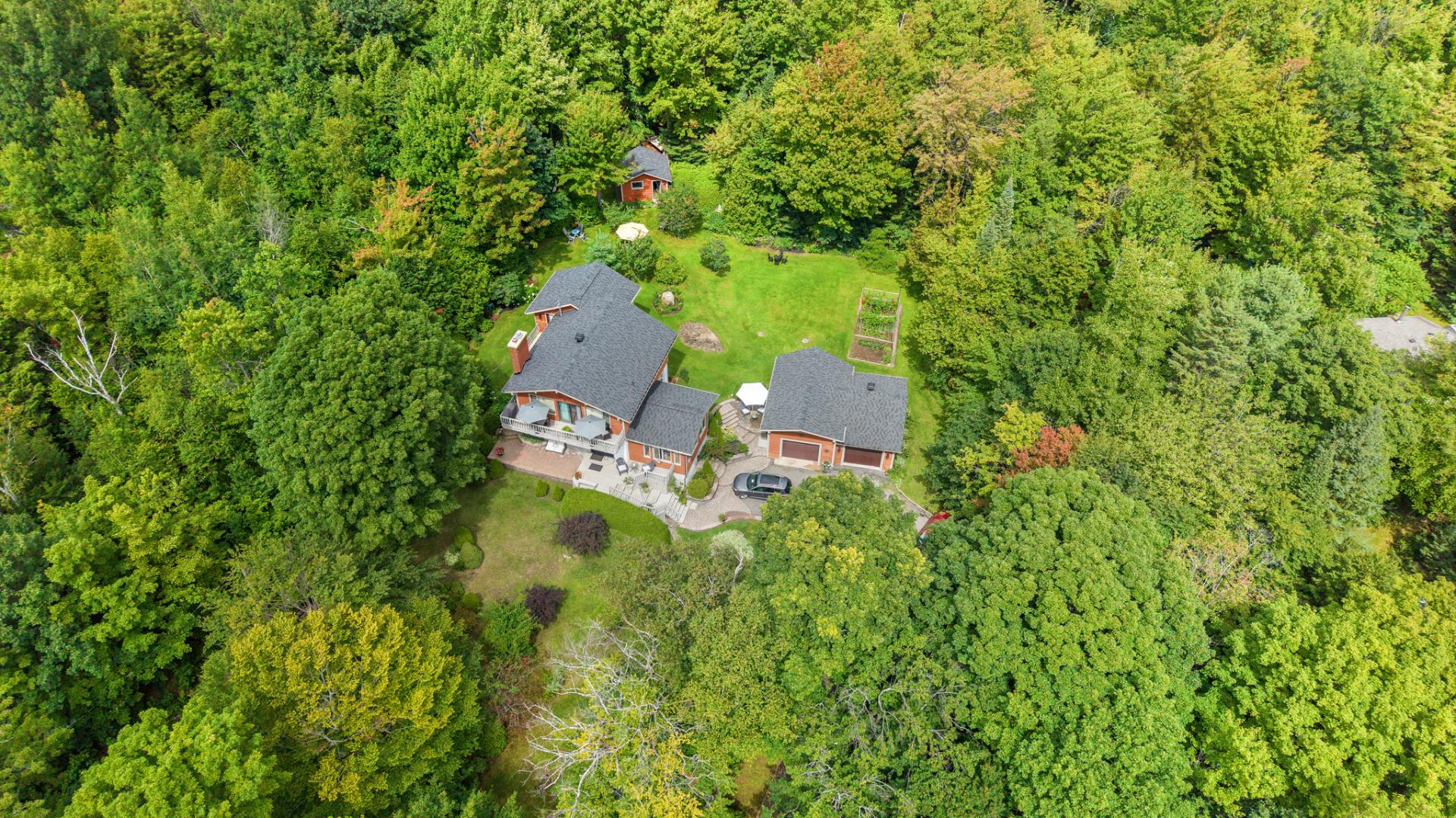 Aerial photo