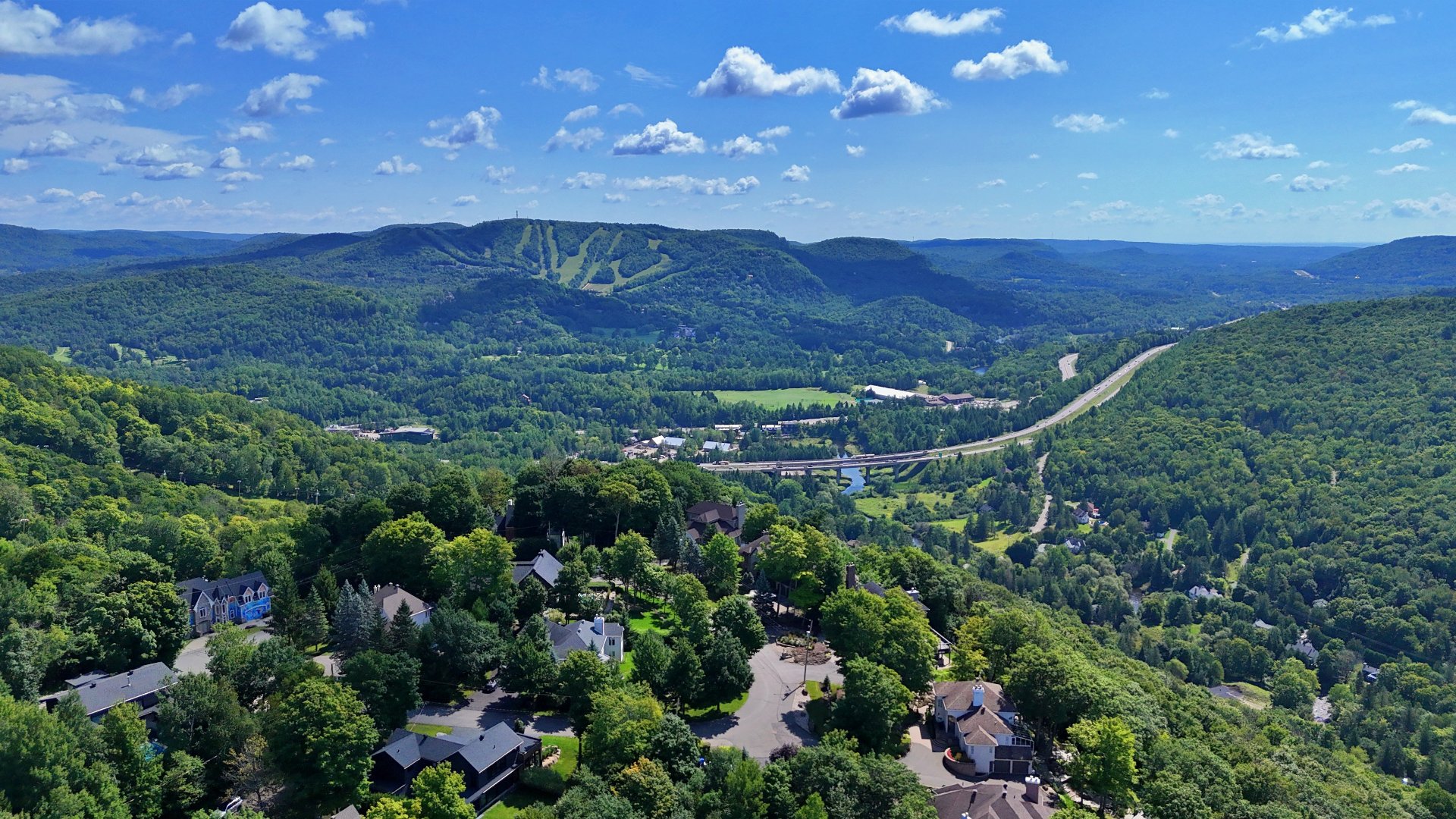 View