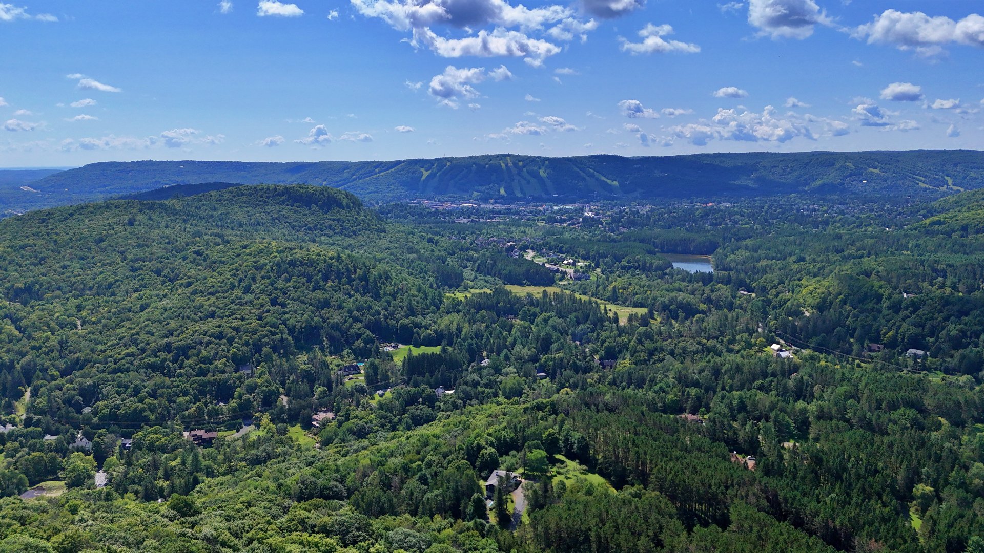 View